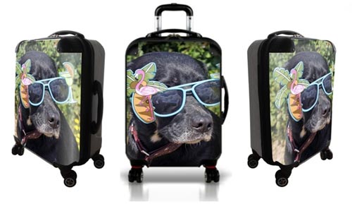 Personalized luggage with cool dog wearing sunglasses