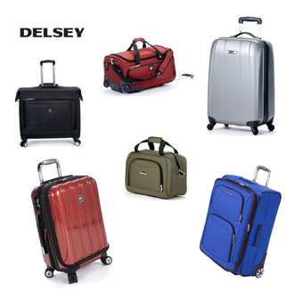 Delsey luggage and logo